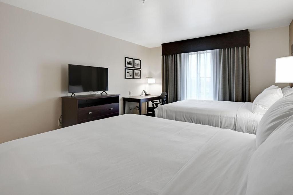 Cobblestone Hotel & Suites - Mosinee Exteriér fotografie